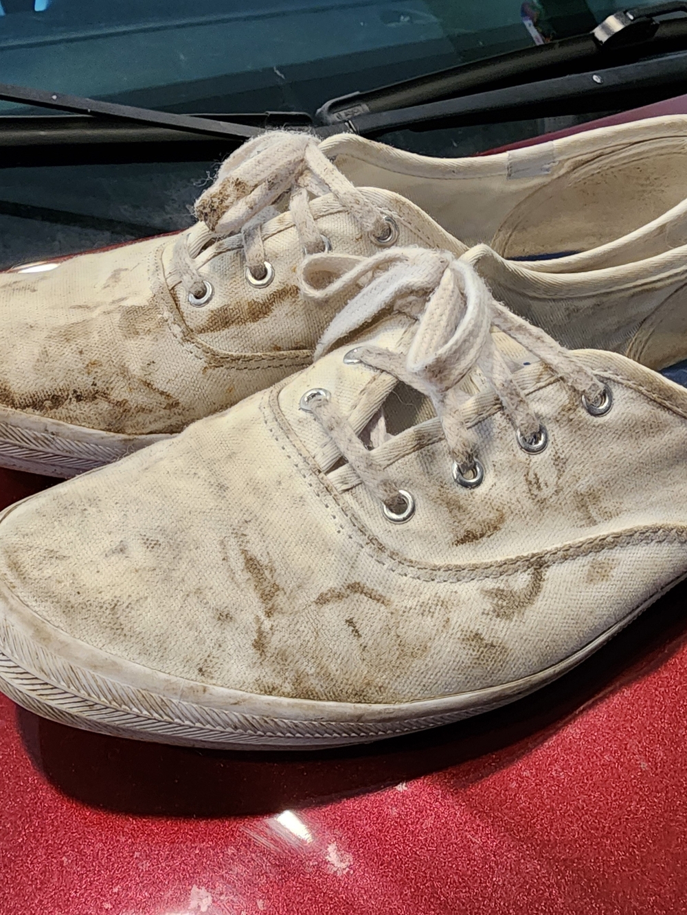 Well Worn Keds, 10 - Picture 3 of 8